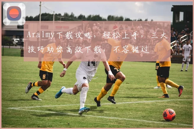 Aralmy下载攻略，轻松上手，三大技巧助你高效下载，不容错过