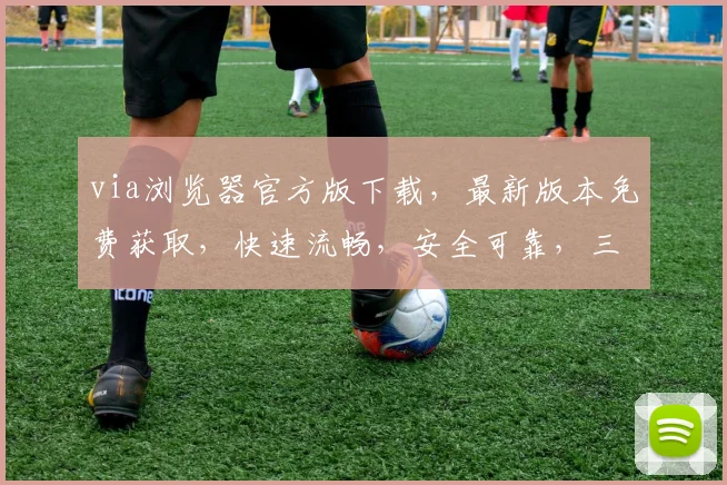 via浏览器官方版下载，最新版本免费获取，快速流畅，安全可靠，三重保障，不容错过，立即下载